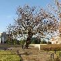 Oklahoma City National Memorial & Museum
