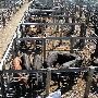 Oklahoma City Stockyards