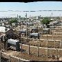 Oklahoma City Stockyards