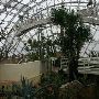 Myriad Botanical Gardens