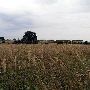 Tatanka Ranch