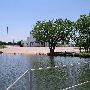 Lake Hefner