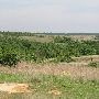 Sugarloaf Ranch