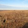 Hughes Ranch