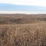 Hughes Ranch