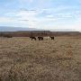Hughes Ranch