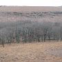 Hughes Ranch