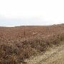Hughes Ranch