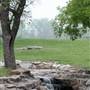 Boiling Springs State Park