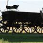 Sage and Saddle - Bed and Breakfast