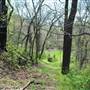 Sterner Ranch