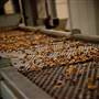 Valley View Pecan Company
