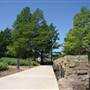 Myriad Botanical Gardens