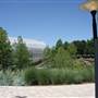 Myriad Botanical Gardens