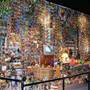 Toy Action Figure Museum