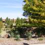 Centennial Park