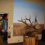 Plains Indians and Pioneers Museum
