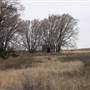 Nightmare in the Country - Kenton Ranch
