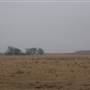 Various Woodward Landscapes