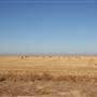 Hwy 412/36 - Guymon Area