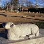 Fairlawn Cemetery