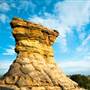 Black Mesa State Park