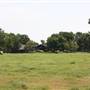 NFL Farms