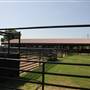 NFL Farms