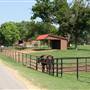 NFL Farms