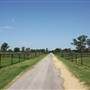 NFL Farms