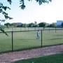 Dog Park