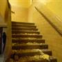 Marcus Garvey Leadership Charter School