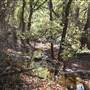 Martin Nature Park