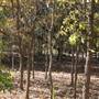 Martin Nature Park