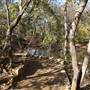Martin Nature Park