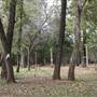 Camp DaKaNi