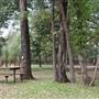 Camp DaKaNi