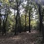 Camp DaKaNi