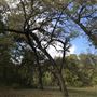 Camp DaKaNi