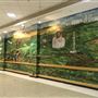 Oakwood Mall