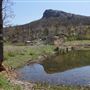 Camp Y'shua