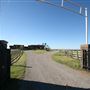 Taylor Ranch