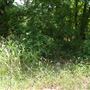 Stinchcomb Wildlife Refuge