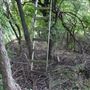 Stinchcomb Wildlife Refuge
