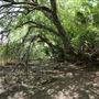 Stinchcomb Wildlife Refuge
