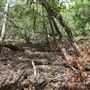 Stinchcomb Wildlife Refuge