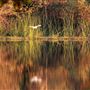 Pretty Water Lake