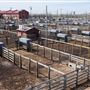 Oklahoma National Stockyard Exchange