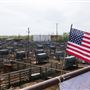Oklahoma National Stockyard Exchange