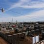 Oklahoma National Stockyard Exchange